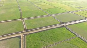 افتتاح طرح زهکشی اراضی کشاورزی گلستان در سفر دوم رئیس جمهور