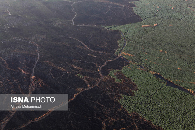 آتشسوزی در هورالعظیم / عکس از آرشیو آتشسوزی در ۳ هزار هکتار از هورالعظیم / مهار آتش در دو مخزن تالاب