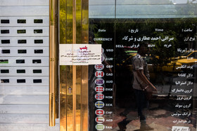 بازار ارز در اولین روز فعالیت رسمی صرافیها