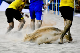 قهرمان و نائب قهرمان لیگ از جنس کویرنشینان