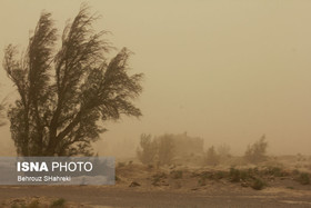 طوفان با سرعت ۷۶ کیلومتر در ساعت سبزوار را در نوردید