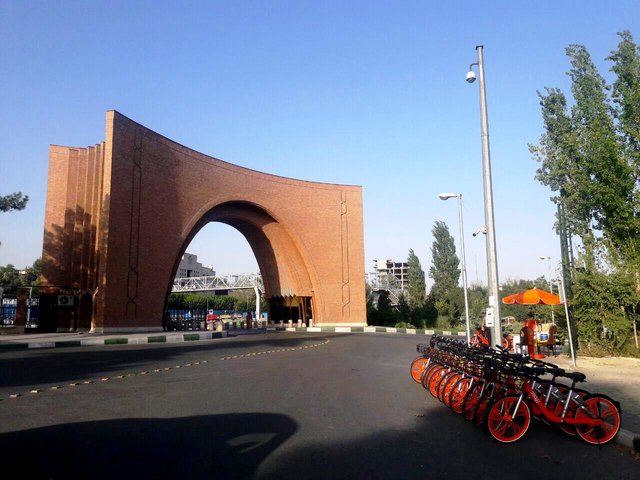 دعوت از شهردار تهران برای استفاده از دوچرخه

