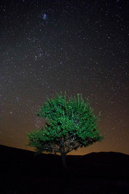 بارش شهابی برساوشی در اطراف روستای وفس در ۱۵ کیلومتری شهر کمیجان