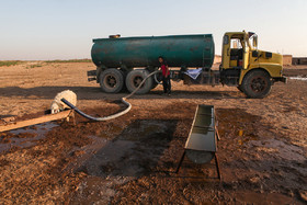 اداره جهاد کشاورزی هویزه، روزانه به وسیله تانکر به دام‌ها آبرسانی می‌کند.