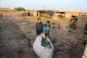 یک خانواده در روستای "الهاسی"