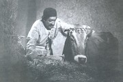 عزت‌الله انتظامی: در اولین اکران «گاو» گریه کردم