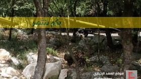 حزب‌الله لبنان امشب در باغ موزه ملیتا از سورپرایزی جدید پرده‌برداری می‌کند