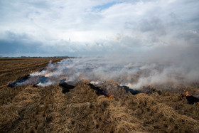 مزارعی که به آتش کشیده میشوند