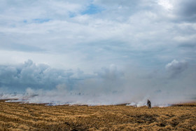 مزارعی که به آتش کشیده میشوند