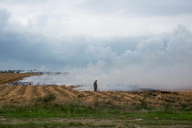مزارعی که به آتش کشیده میشوند