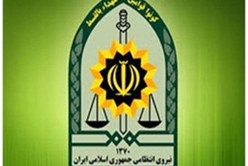 پیام نیروی انتظامی به مناسبت فرارسیدن هفته دولت