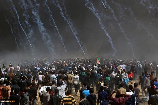 انتقاد خامه‌یار از سکوت جوامع بین‌المللی در قبال مردم غزه