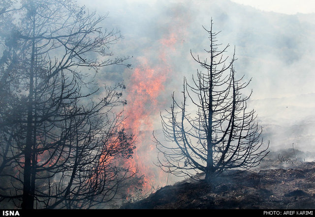 شعله ور شدن مجدد آتش در جنگل‌ها و مراتع مریوان