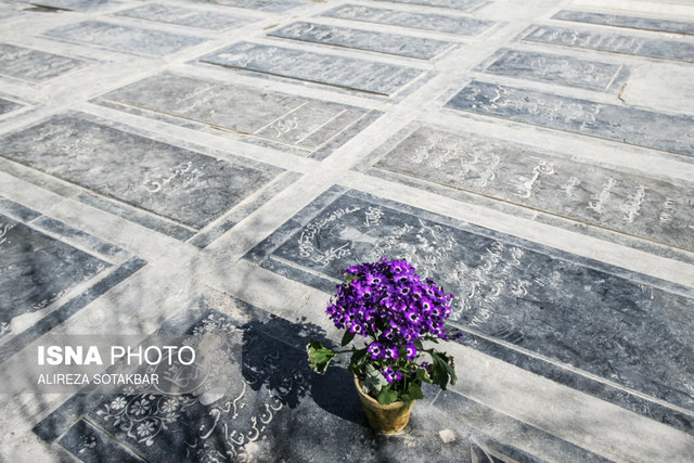 پدیدههای نوظهور در «بهشت زهرا» پدیدههای نوظهور در «بهشت زهرا»