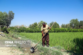 چگونه تنگی نفس خاک مازندران برطرف می‌شود؟
