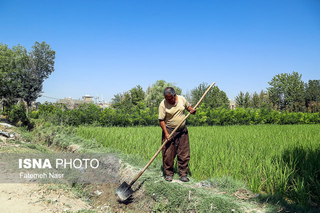 چگونه تنگی نفس خاک مازندران برطرف می‌شود؟