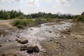 میزان آرود رودخانه نهر کبیر دامغان یا رودخانه چشمه علی دامغان در پی برداشت های غیرمجاز و اضافه برداشت و کاهش بارندگی از ۱۷ میلیون متر مکعب در سال گذشته، به ۱۲ میلیون متر مکعب در سال‌جاری کاهش پیدا کرده، میزان آبدهی این رودخانه در سالجاری ۳۱۵ لیتر بر ثانیه کاهش پیدا کرده است. 
