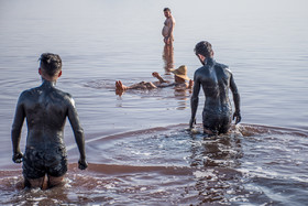 لجن درمانی در سواحل دریاچه ارومیه