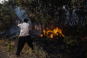 بازگشت آتش به جنگل‌ها/ عدم تامین هلیکوپتر برای اطفای حریق