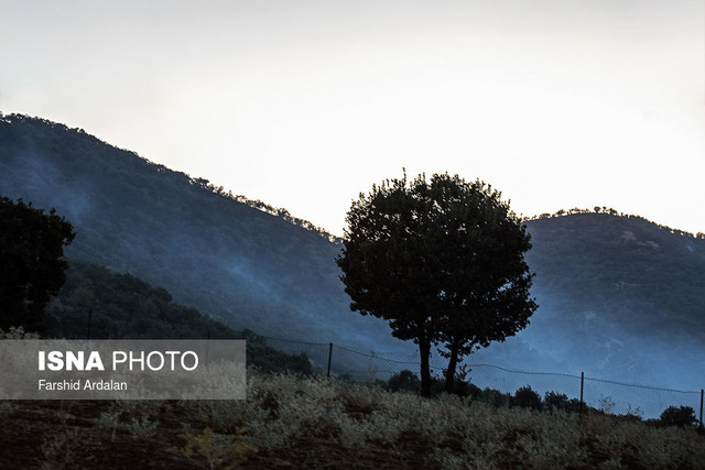 آتش سوزی گسترده در اراضی منابع طبیعی عباس آباد آستارا