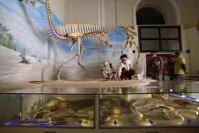 برگزاری همایش ملی انجمن دیرینه‌شناسی ایران 