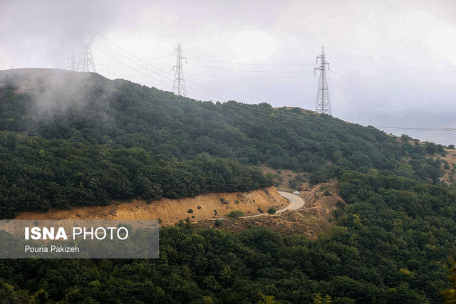 پیش‌بینی جنگل‌کاری در کشور در بیش از ۲۵ هزار هکتار 