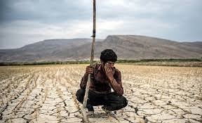 ‌خشکسالی کمر کشاورزی سیستان و بلوچستان را خم کرده است