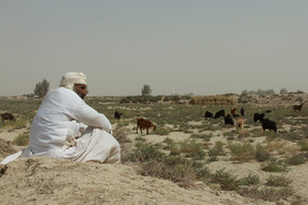 توفان با سرعت ۱۰۱ کیلومتر در سیستان