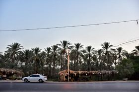 استان بوشهر یکی از قطب‌های تولید خرمای کشور است و سالانه بیش از ۱۷۰ هزار تن خرما از این نخلستان‌ها برداشت می‌شود، بر طبق روال نخل‌دارهای این استان بخشی از محصول درخت خرمای خود را به شهرهای دیگر و یا به خارج از کشور صادر می‌کنند و بخشی دیگر را بصورت عمده فروشی در باغستان و یا در انبارهای خود به‌ فروش می‌رسانند و یا بصورت خرده فروشی در "کپر" سایبان‌های که فروشنده‌هارا از شدت گرما حفظ می‌کنند بفروش می‌رسانند.