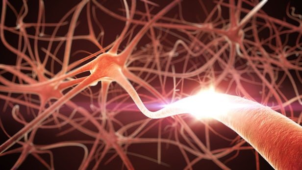 مغز و روده ارتباط مستقیم دارند