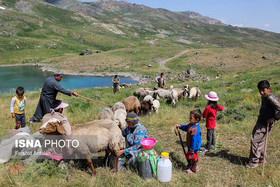 رشد 10 درصدی بازدید بانوان از سایت گردشگری گهر
