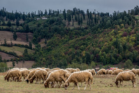 ایران زیباست؛ روستای «استخرگاه» شهرستان رودبار در استان گیلان