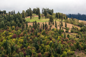 ایران زیباست؛ روستای «استخرگاه» شهرستان رودبار در استان گیلان