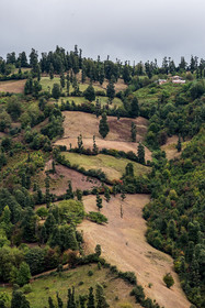 ایران زیباست؛ روستای «استخرگاه» شهرستان رودبار در استان گیلان