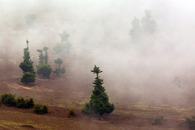 ایران زیباست؛ روستای «استخرگاه» شهرستان رودبار در استان گیلان