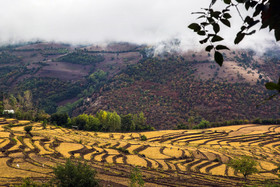 ایران زیباست؛ روستای «استخرگاه» شهرستان رودبار در استان گیلان