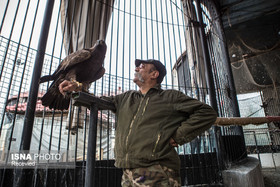 مرد اسرارآمیز دهکده طبیعت از ارثیه‌ خانوادگی‌اش می‌گوید