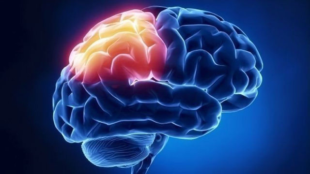 آغاز به کار کنگره بین المللی جراحان مغز و اعصاب ایران در بابل مغز