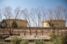 زاغه نشینی اتباع خارجی در روستای گل‌حصار و مناطق اطراف، باعث ایجاد مشکلاتی برای اهالی منطقه شده است