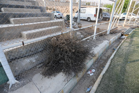 وجود بوته‌های گیاهان خود رو که به دلیل عدم نگهداری در محوطه زمین ورزشگاه «خلیج فارس» بندرعباس و جلوی سکوی تماشاگران رشد کرده‌اند.
