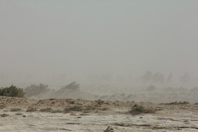 طوفان و گرد و غبار شدید در زابل