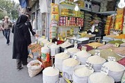 مدیرکل تعاون بوشهر: تعاونی‌های مصرف کارگری راه‌اندازی شوند