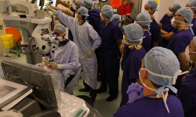 درمان نوعی نابینایی نادر با ژن درمانی