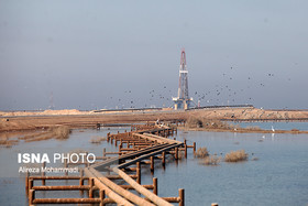 تشکیل 47 پرونده قضایی برای اراضی ملی زیست محیطی در خوزستان