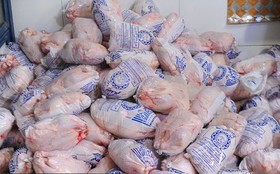 عبور قیمت مرغ از ۲۰ هزار تومان در صورت تداوم شرایط فعلی