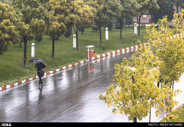‌در سال زراعی جاری بارندگی کشور نرمال بوده است