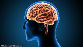 فریب دادن مغز تنها با یک آزمایش+فیلم