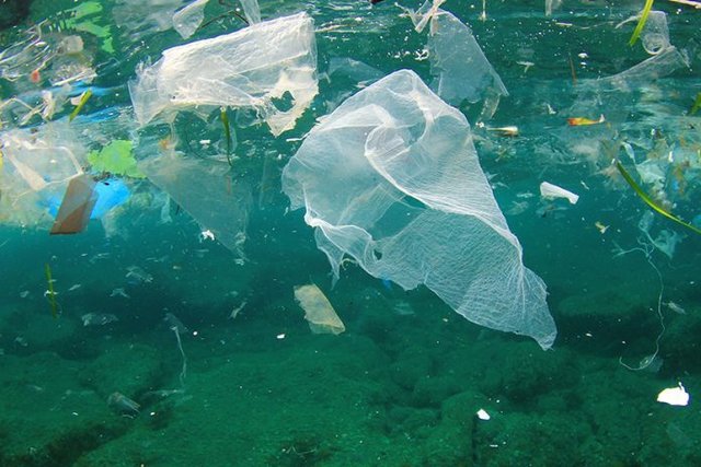 طرح‌های برتر مقابله با آلودگی‌های پلاستیکی معرفی شدند