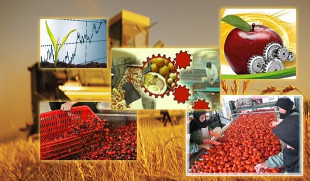 صادرات محصولات کشاورزی رکورد زد/ توزیع ۴.۹ میلیارد دلاری بین ۸ کشور