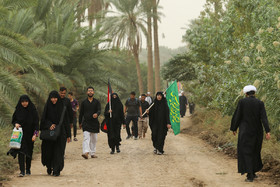 پیاده‌روی اربعین حسینی - «طریق العلما»